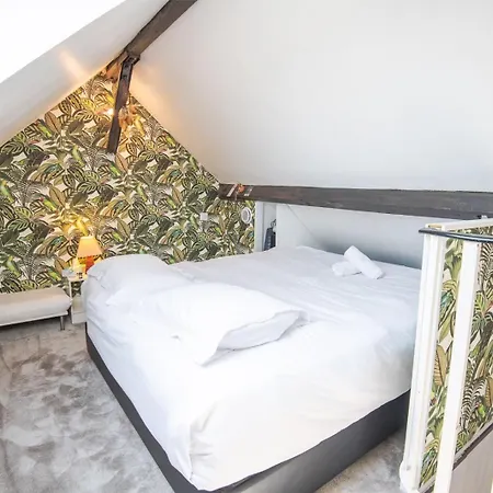 Le Duplex Tourangeau דירה טור
